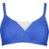 Lidea Contrast 5930 Bikini-Oberteil Blue White 42C -Berühmtes Bademoden Geschäft 5bae6cc096f68b472b93c4ce4db0fc4e 9725930617jpg